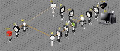 Mueller matrix polarization interferometry of optically anisotropic architectonics of biological tissue object fields: the fundamental and applied aspects